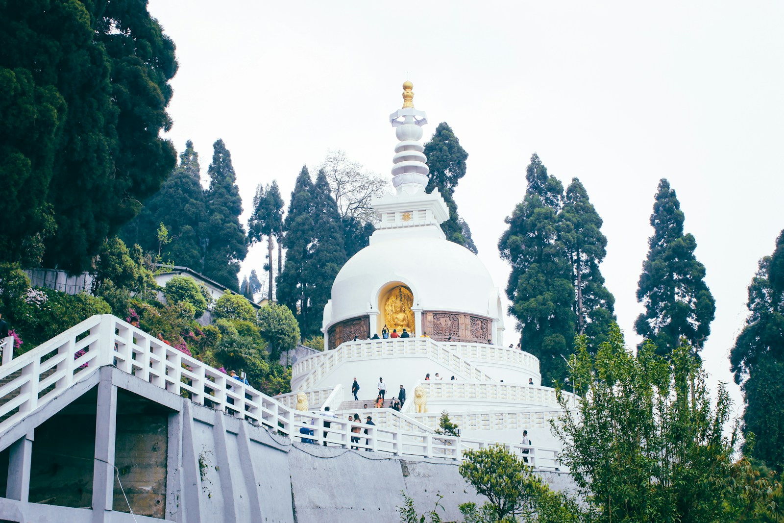 A white building with a white roof surrounded by trees