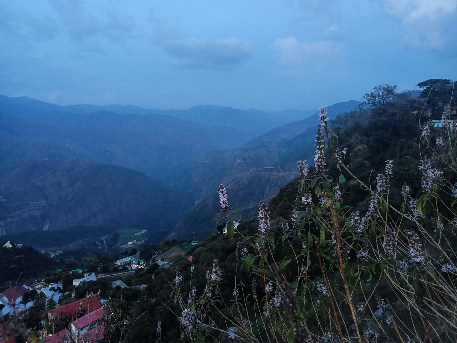 a scenic view of a valley with mountains in the background