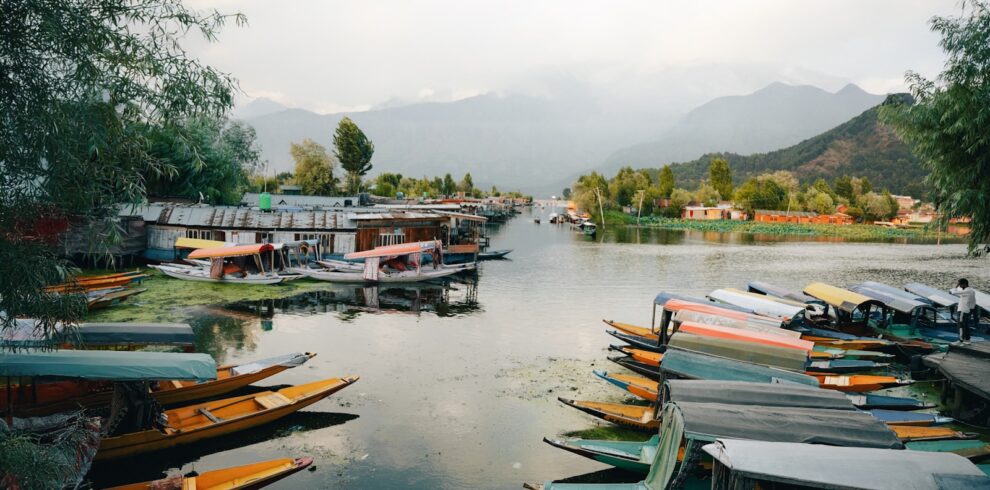 A bunch of boats that are sitting in the water