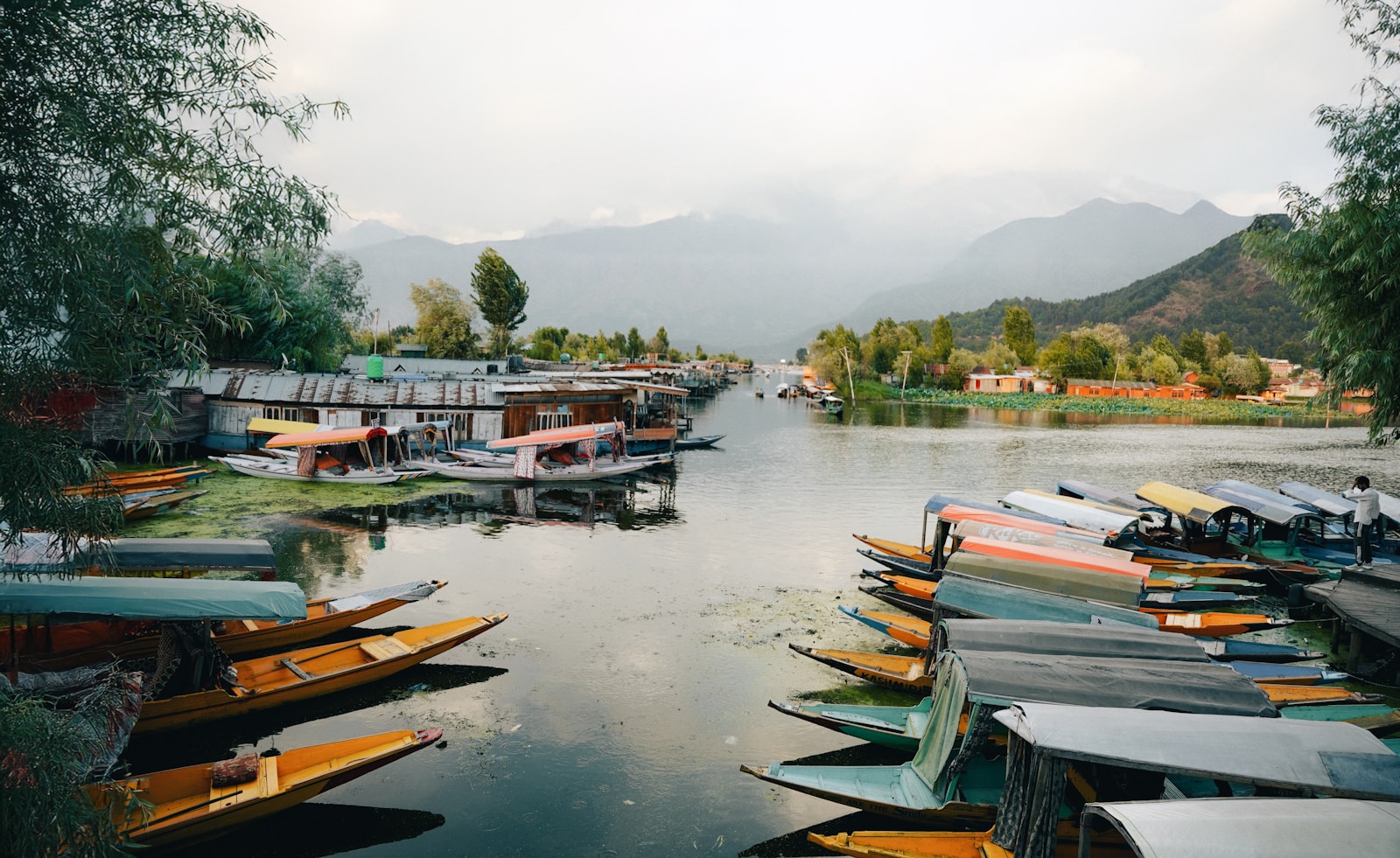 A bunch of boats that are sitting in the water