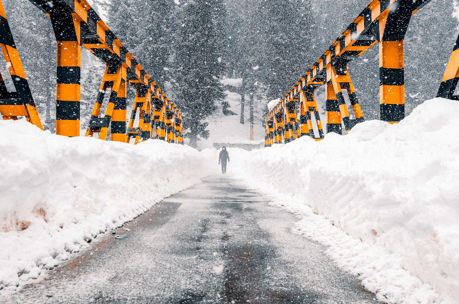 snow covered road during daytime