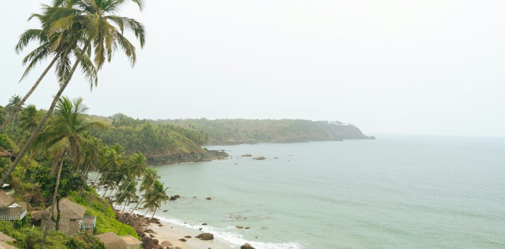 a view of a beach with palm trees in the foreground