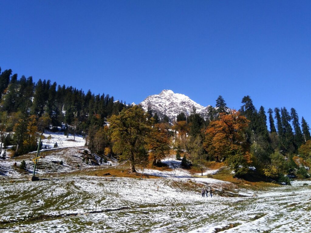 a snowy field with trees and a mountain in the background