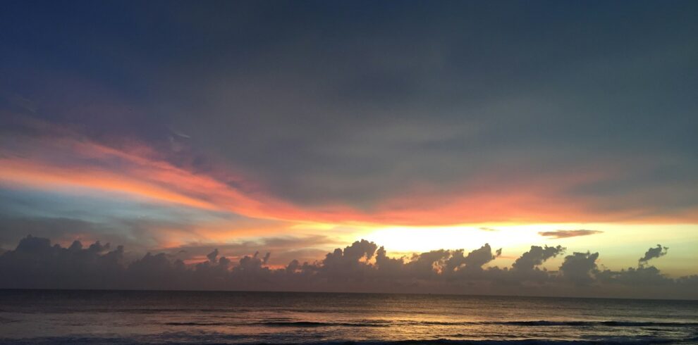 silhouette of people on beach during sunset