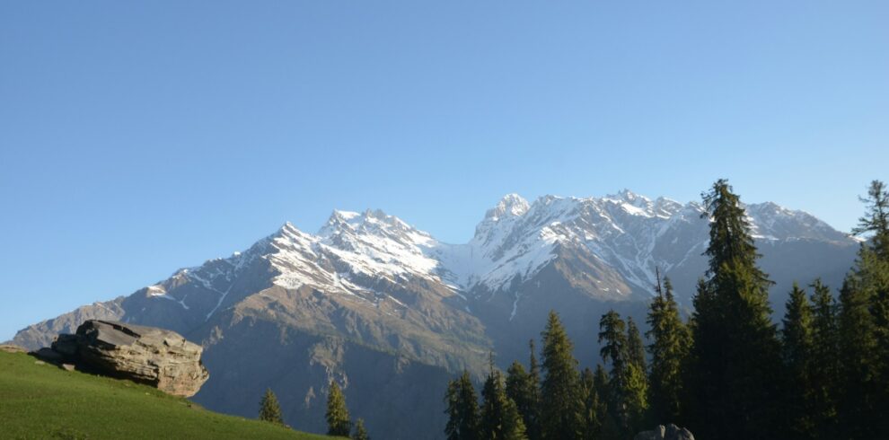 white and green mountain and gray rock near green trees