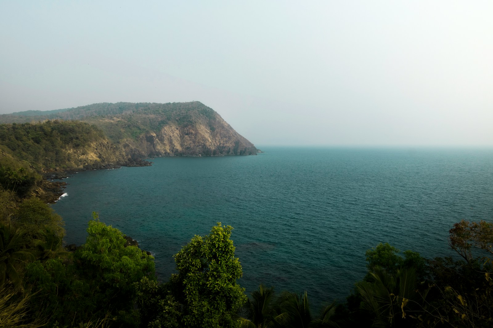 a large body of water surrounded by trees