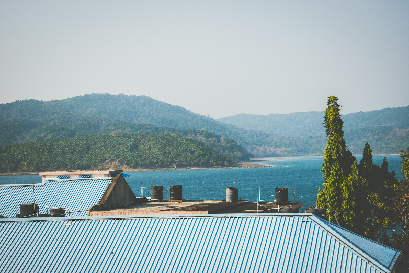 brown wooden dock on body of water during daytime