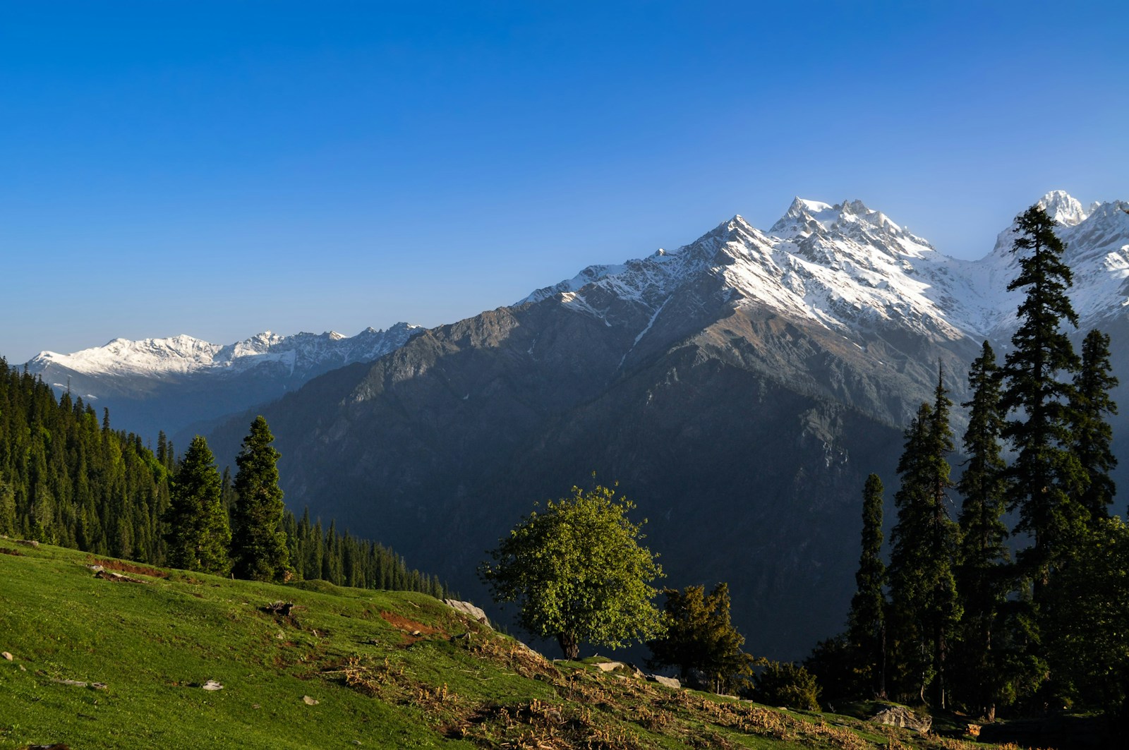 a view of a mountain range with trees in the foreground