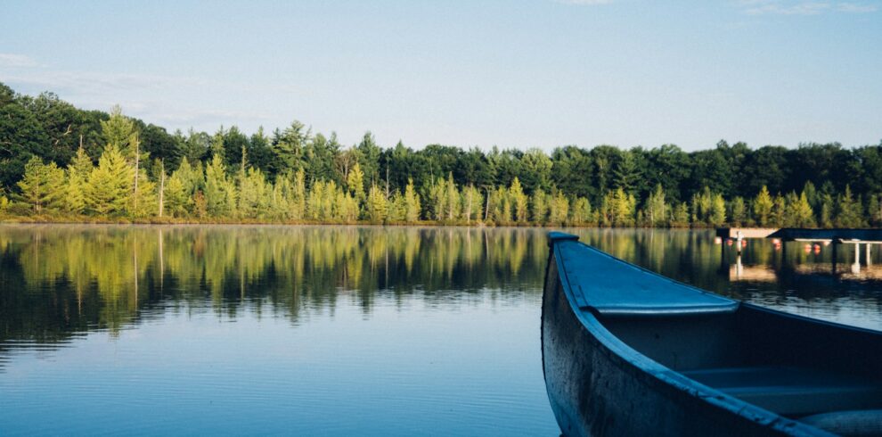 grey canoe on calm body of water near tall trees at daytime