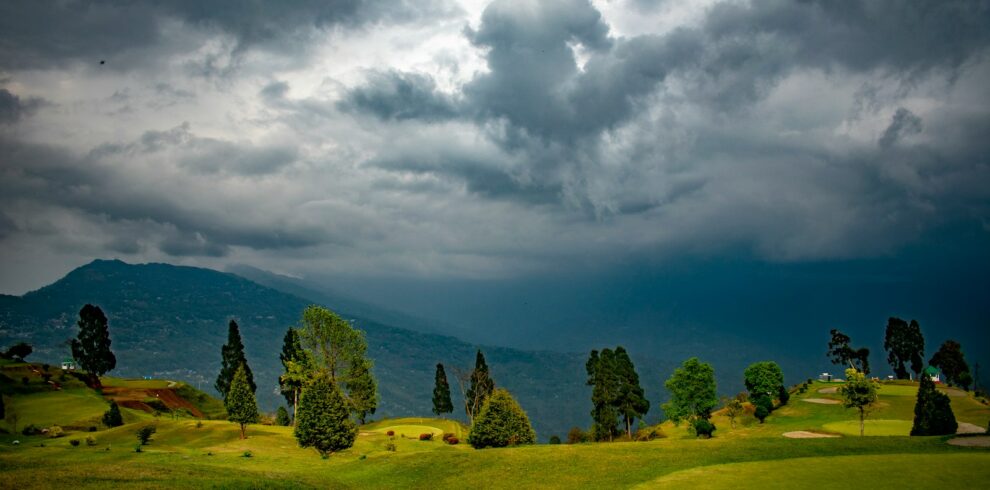 green trees on green grass field under white clouds and blue sky during daytime