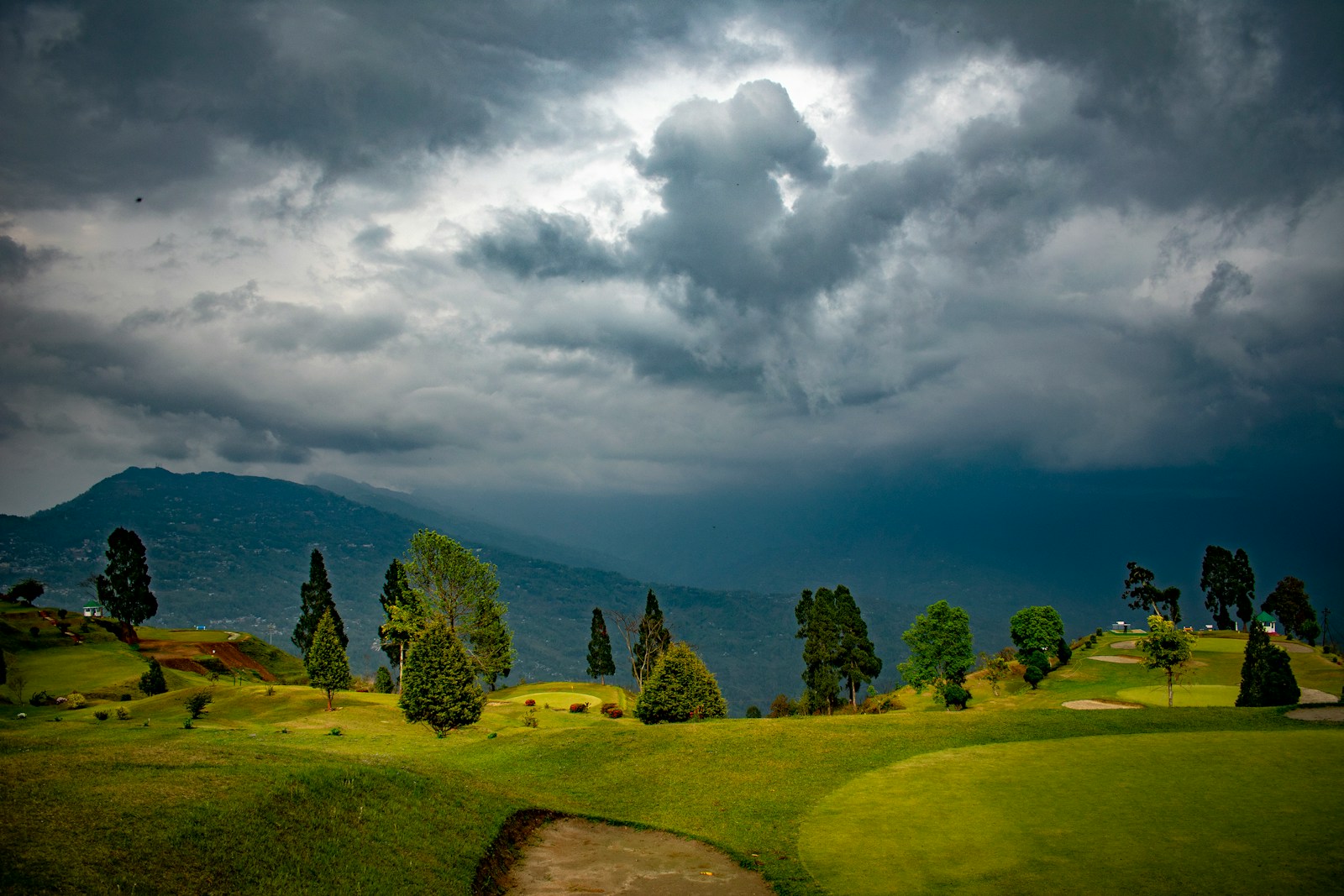 green trees on green grass field under white clouds and blue sky during daytime